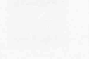 Ковролин Sommer Needlepunch Exposhow Exposhow White 9510 фото  | FLOORDEALER